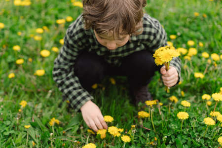 Children and Wildflower Meadows: Education and Garden Activities