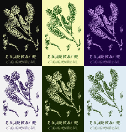 Responsible Seed Collecting in the Wild