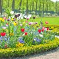 Rethinking Garden Borders: Sustainable Planting Schemes for Water Efficiency