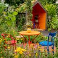 Traditional Allotment Flowers and Their Seasonal Care in the UK