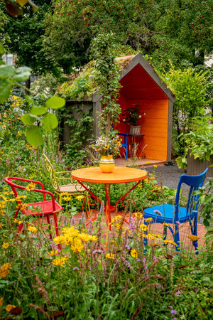 Traditional Allotment Flowers and Their Seasonal Care in the UK