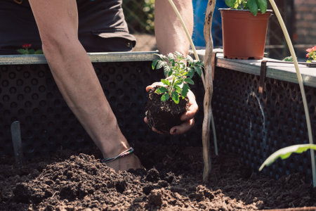 The Role of Composting in Organic Allotment Gardening