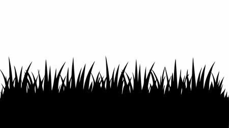 Top Natural Sprays for Moss Control