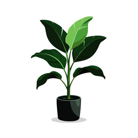 Recognising Signs of Humidity-Related Plant Diseases