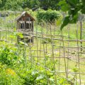Garden Structures and Habitats: Supporting Good Wildlife and Deterring Pests