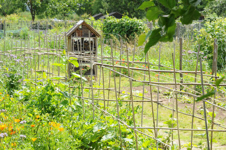 Garden Structures and Habitats: Supporting Good Wildlife and Deterring Pests
