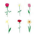 Integrating Garden Ponds with Wildflower Meadows: A Complete British Wildlife Haven