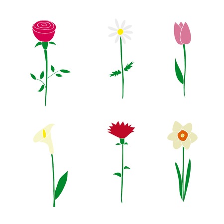 Integrating Garden Ponds with Wildflower Meadows: A Complete British Wildlife Haven