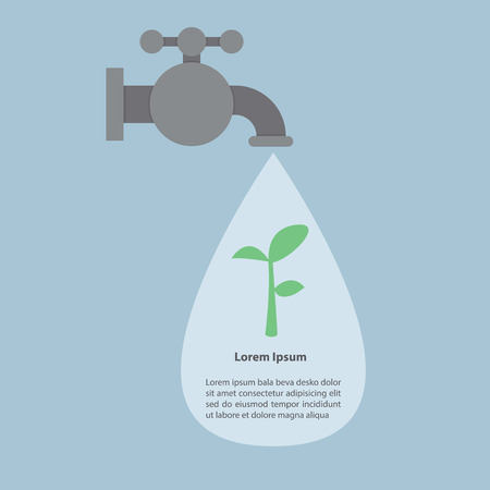 Design Principles for Water-Efficient Pathways and Borders