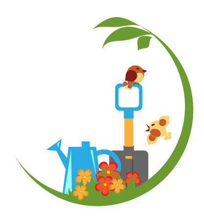 Best Practices for Pruning: Tools, Timing, and Techniques