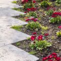 Paths, Borders, and Focal Points: Comparing Garden Layout Techniques