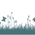 Companion Planting in the British Wildflower Meadow