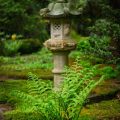 Water Feature Illumination: Showcasing British Ponds, Fountains, and Streams