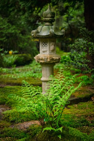 Water Feature Illumination: Showcasing British Ponds, Fountains, and Streams