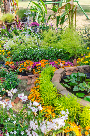 Letting Nature Lead: The Do’s and Don’ts of Minimal Intervention Gardening