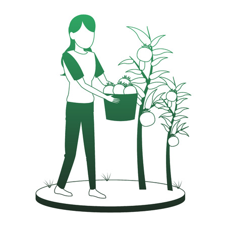 Summer Care: Keeping Tools in Top Nick