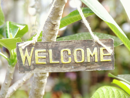 Welcoming Wildlife: Encouraging Natural Pest Predators in Your UK Garden Ecosystem