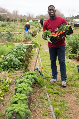 Seed Starting Indoors for Allotment Gardeners: Coordinating with the British Growing Calendar