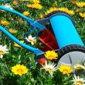 Sharpening and Replacing Lawn Mower Blades: Practical Advice for UK Gardeners