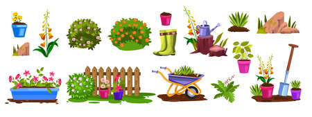 Physical Barriers: Principles and Effectiveness