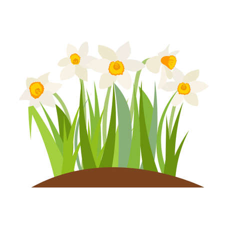 Essential Containers and Compost for UK Conditions