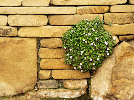 Dry Stone Walling as Edging: Techniques and Heritage in the UK