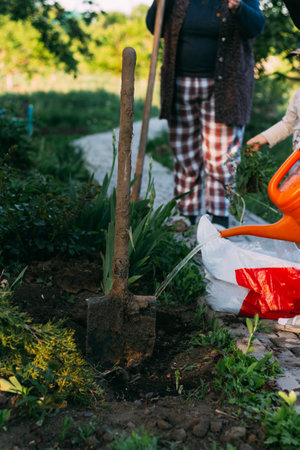 Cost Analysis: Investing in Raised Beds versus Traditional Ground Planting for Home Gardeners