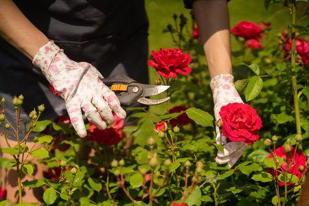 The History and Tradition of Flower Gardening in the United Kingdom