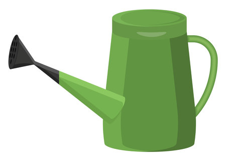 Top Eco-Friendly Tips to Prevent Algae Growth