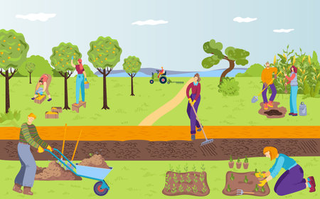 Preparing the Plot: Classic British Allotment Wisdom