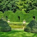 Creating Structure in the Formal English Garden