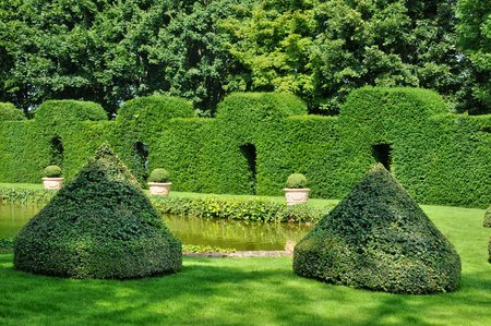 Creating Structure in the Formal English Garden