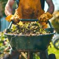Composting Kitchen Scraps and Garden Waste Responsibly on Your Allotment