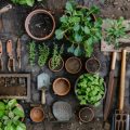 Sustainable Small Garden Design: Eco-Friendly Tips for UK Homeowners