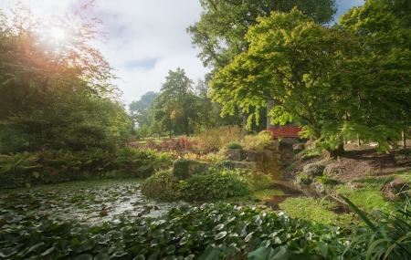 Wildlife Pond Myths: Separating Fact from Fiction in British Garden Culture