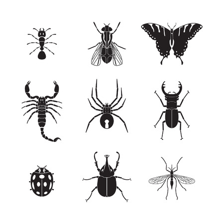 Balancing Aesthetic and Wildlife Value: Low-Maintenance Approaches to Supporting Insects