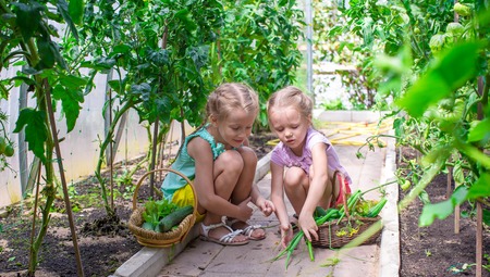 Designing Small Gardens for Families with Children or Pets