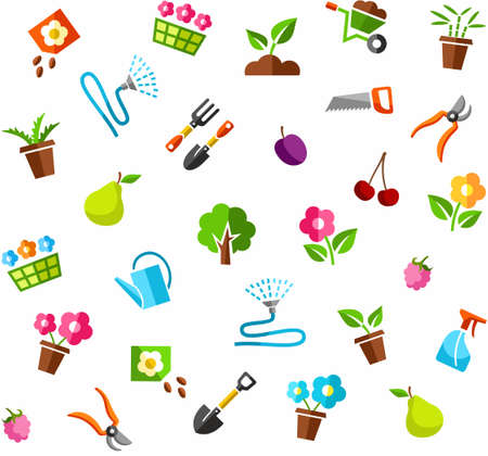 Pre-Use Safety Checks and Setup