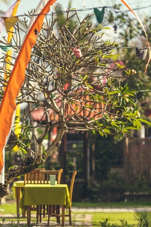 Working at Height: Ladder and Platform Safety for Hedge Cutting