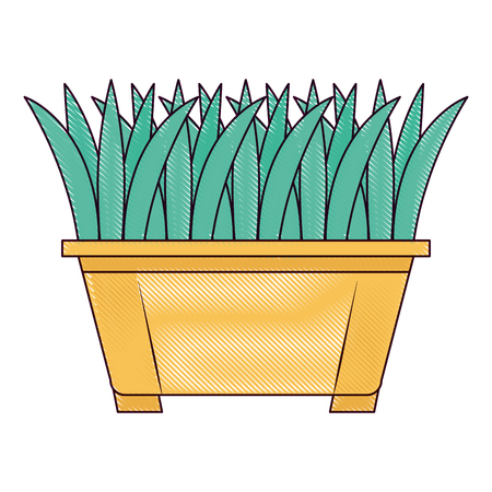 Seasonal Plant Selection