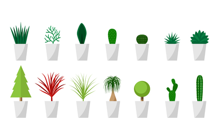 Contemporary Planters: A Fresh Twist