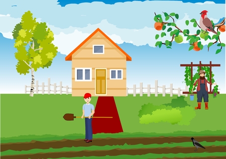 How Crop Rotation Works to Prevent Problems