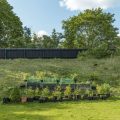 Navigating Allotment Site Rules and Best Practices: Etiquette for British Plots
