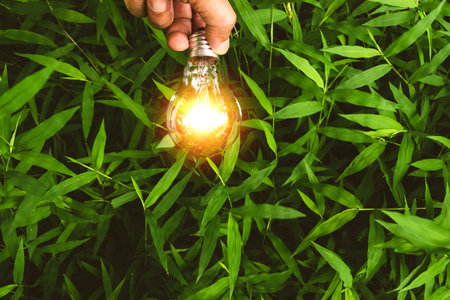 Sustainable Garden Lighting: Eco-Friendly Options for UK Homeowners