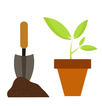 Materials and Sourcing: Choosing Sustainable Products