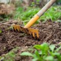 Peat-Free Compost and Pollinator-Friendly Gardening: Creating a Sustainable Habitat