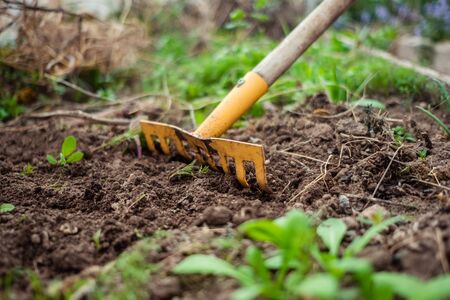 Peat-Free Compost and Pollinator-Friendly Gardening: Creating a Sustainable Habitat