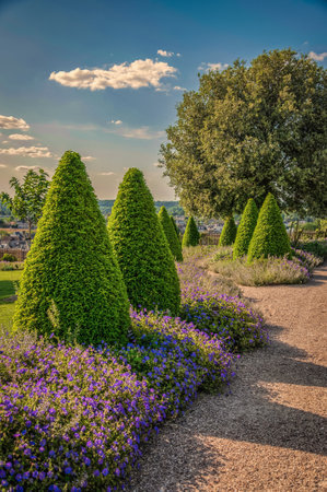 Inspiring Real-Life Small Garden Transformations across the UK