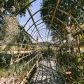 Cultural Practices: How British Allotment Holders Keep Greenhouses Warm and Well-Ventilated
