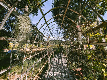 Cultural Practices: How British Allotment Holders Keep Greenhouses Warm and Well-Ventilated